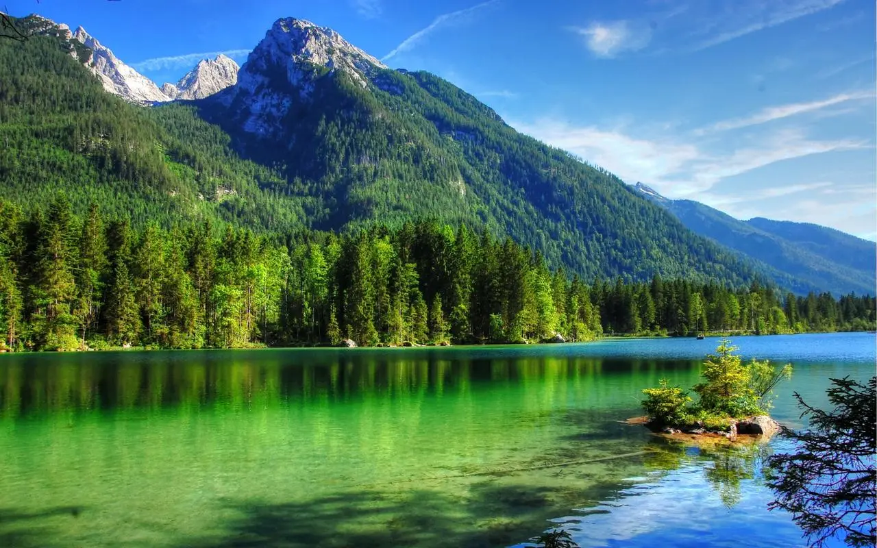高效智能独特